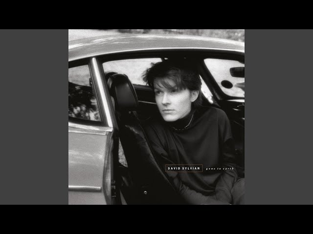 見本盤　David Sylvian 　 Gone To Earth 71krkZs1QiS._UF350,350_QL50_.jpg