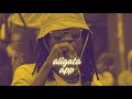 Aligata App x Albert Adu Fosu - Afutu Pa  || Lyric Visualiser