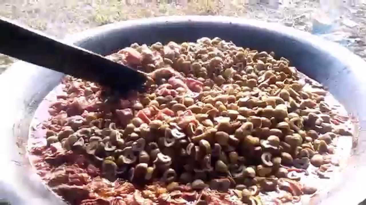 Gulai Kawah Buah Ara Di Hulu Besut - YouTube