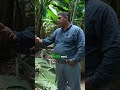 📈 ¿Quieres llevar tu negocio agrícola al siguiente nivel de ingresos?