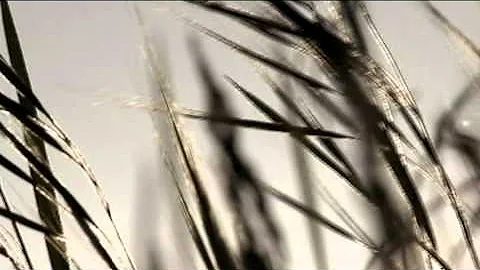 Xuventude Crea:Video.3 Premio compartido: Cristina...