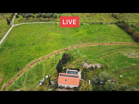 Video: Attività di giardinaggio regionale: coltivare un giardino a nord-ovest a novembre