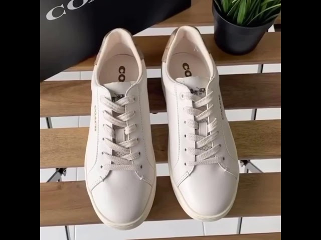 clip low top sneaker