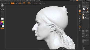 ZBrush Sculpting and Game Dev! - Head Scan Cleanup _ NO MIC :(