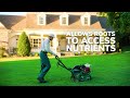 Want a thick lawn? Try Aeration and Overseeding  | TruGreen Lawn Care