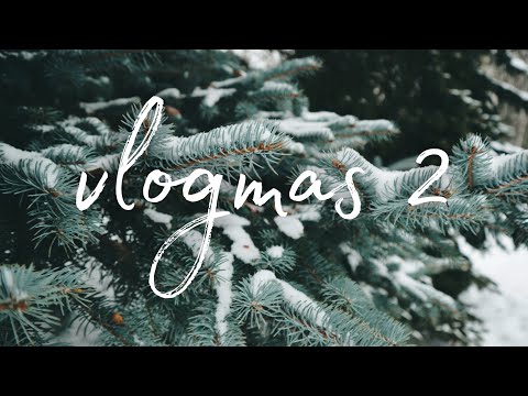 ❄🎄VLOGMAS 2 | уютный сборник рассказов, книжный тэг и книжные покупки📚