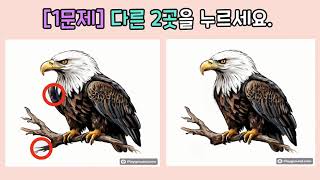 [다른그림찾기] 틀린그림찾기, spot the difference, find the difference, puzzle game screenshot 4