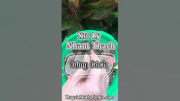 Cách Xử Lý Đá Nham Thạch Hồ Cá, Đá Lọc Bể Cá