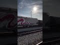 Nychos 🦴 🦴 #fypシ゚viralシfypシ゚ #streetculture #lifestyle #bereal #tag #traingraffiti #train