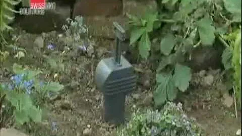 Jaké jsou záněty nehtových lůžek?