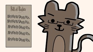 The First 10 U.S Amendments explained by Cats