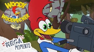Woody Steals The Show! | Woody Woodpecker | Full Episodes | Mega Moments