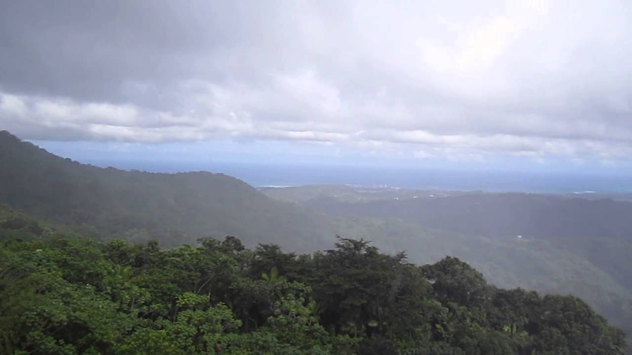 View from lookout tower at El Yunque National Forest in San Juan Puerto ...