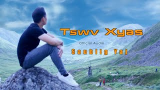 Tswv Xyas - Saublig Yaj (official audio 2023)