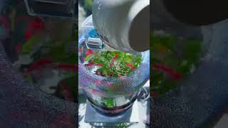 The Most Creative Upcycled DIY Aquarium Ever! 💧🌿Why buy an expensive fish tank when you can do THIS