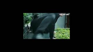 Because Of You 2020 Bl Drama