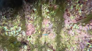 DJI 20260731155443 0002 D
