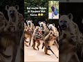 Koi mujhe Rokne ki Koshish Mat Karna #YouTube #funny #comedy #video #viral #trending #post 🤣😂