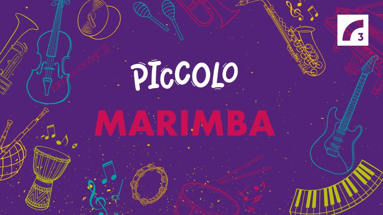 PICCOLO| Marimba