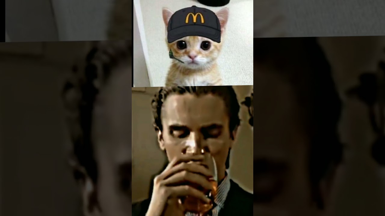 El Gato | R.I.P LEGEND 