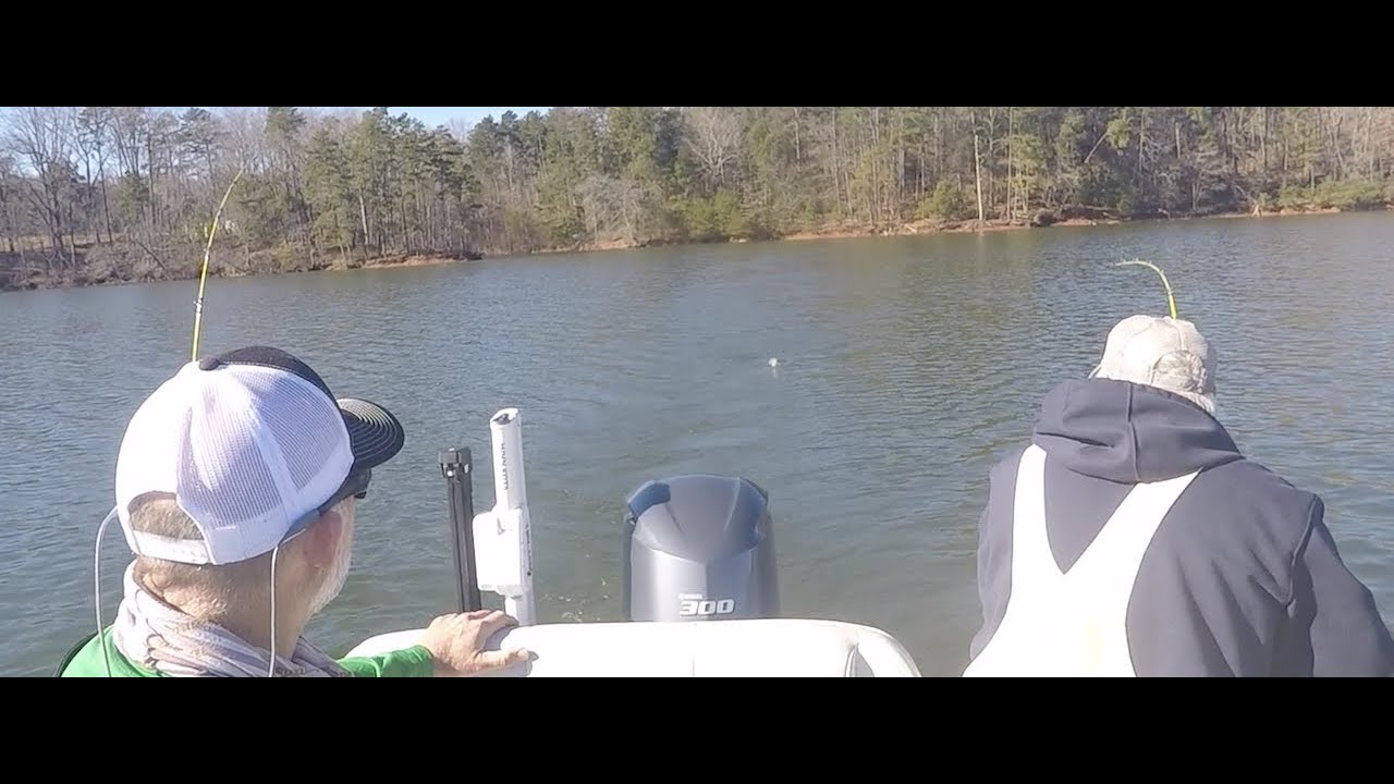 Captain Mack's Striper Umbrella Rig Tips YouTube