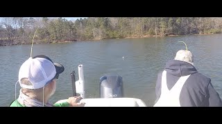 Captain Mack's Striper Umbrella Rig Tips