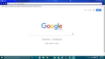 How to play RotMG with no lag (Adobe Projector)