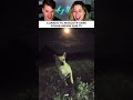 Su perrito posa como un modelo profesional para una foto