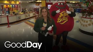 Bella is in Fairfield taking a tour of the Jelly Belly Factory!