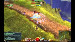 Late Night Roaming With Tera And Frog