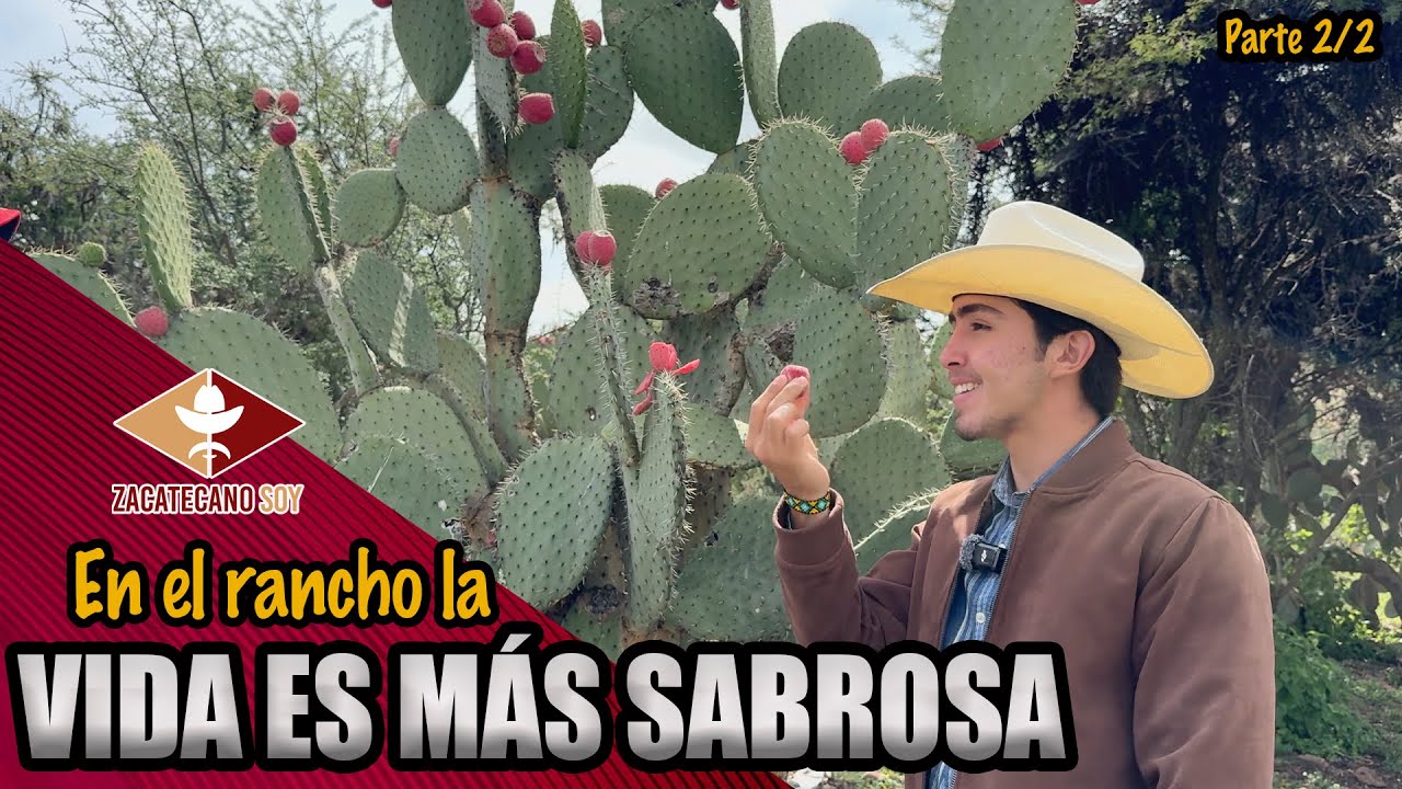 QUESO DE CHIVA lo mejor que puedes probar