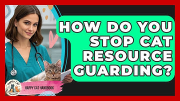 How Do You Stop Cat Resource Guarding? - Happy Cat Handbook