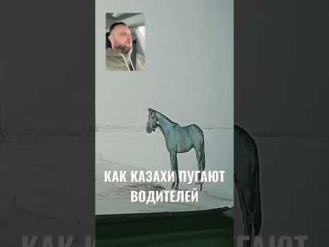 Как казахи пугают водителей лошадьми и коровами #казахстан #авто #путешествие #видеорегистратор