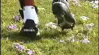 Guy stomping flowers 2