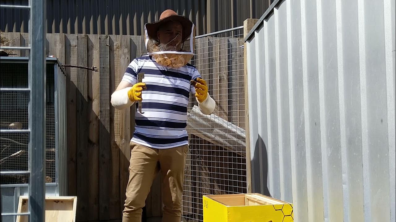 How To Get Your First Bee Hive Package And Start Beekeeping In Your