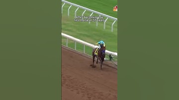 The First Horse In 37 Year’s To Win The Triple Crown… 👑 #BC23 #AMERICANPHAROAH