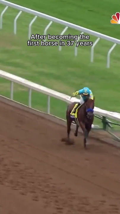 The First Horse In 37 Year’s To Win The Triple Crown… 👑 #BC23 #AMERICANPHAROAH