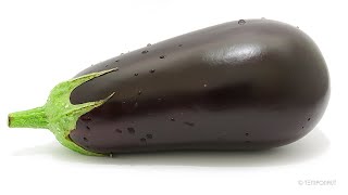 Rotting Eggplant Time Lapse