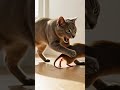 #ai #funny #viral #trending #catvideos #rat # catrat #ekmotahathi
