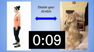 Stretch Video 2 0