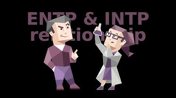ENTP & INTP relationship explained