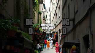 The Forgotten Alleys Of Kowloon Walled City