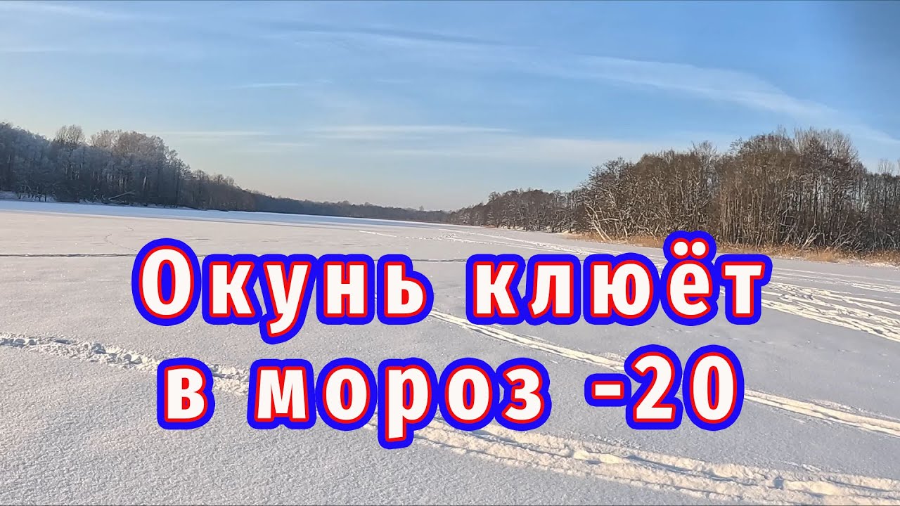 Окунь клюёт когда мороз - 24! Зимняя Рыбалка на окуня с блесной.