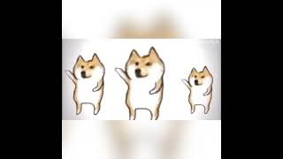 jss硬曲 (xgprmi remix) - xgprmi Hey brother! 韓國黑道歐巴 TikTok 抖音 柴犬跳舞 備份版