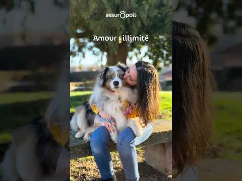 Vie avec un animal : parfaite… mais imprévisible 🐶🐱