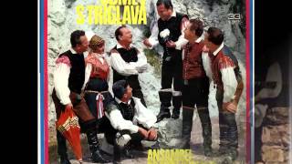 Ansambel bratov Avsenik - Drija drajsom polka