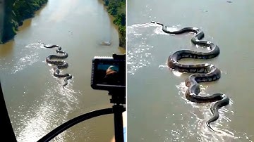 15 Unsolved Mysteries Of The Congo That Cannot Be Explained