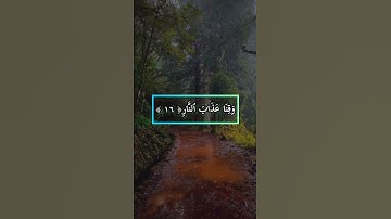 سورة ال عمران _القران الكريم