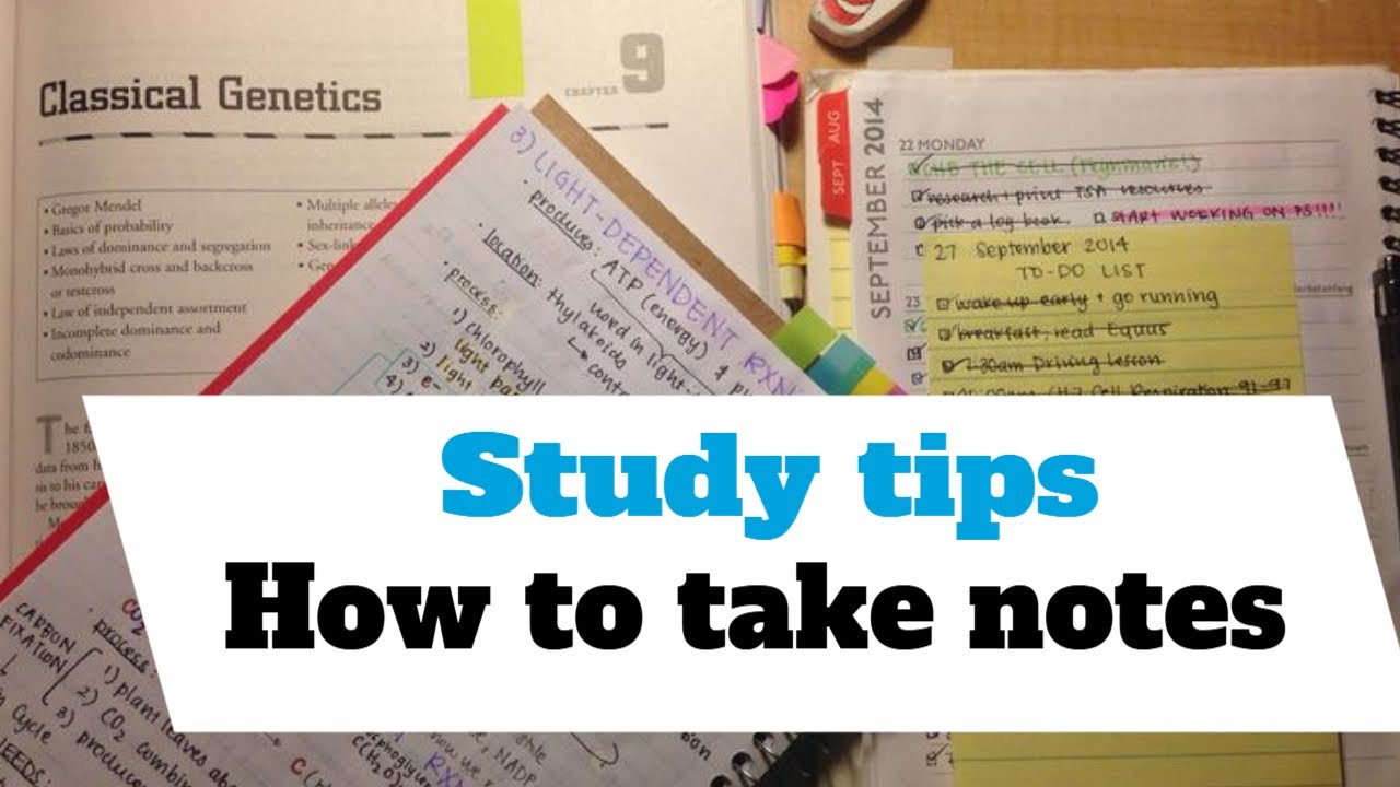 Study tips - How to take notes, and why you should use the Cornell ...