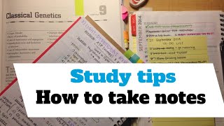 Study tips - How to take notes, and why you should use the Cornell Notes Method